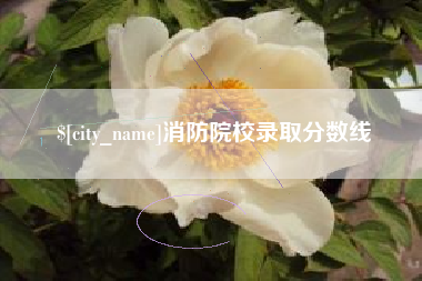 定安消防院校录取分数线