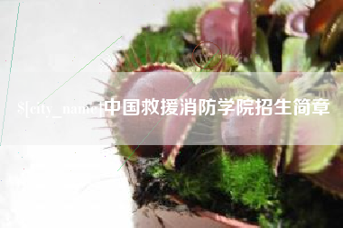 定安中国救援消防学院招生简章