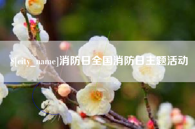 定安消防日全国消防日主题活动