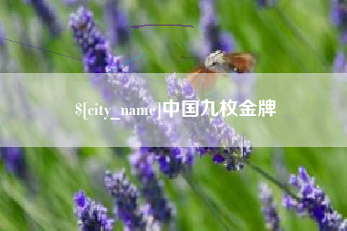定安中国九枚金牌
