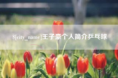 定安王子豪个人简介乒乓球