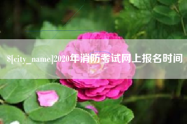 定安2020年消防考试网上报名时间