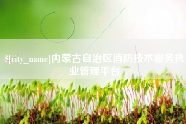 定安内蒙古自治区消防技术服务执业管理平台