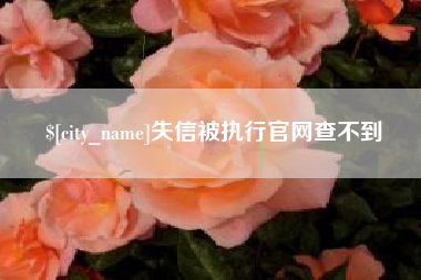 定安失信被执行官网查不到