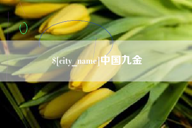 定安中国九金