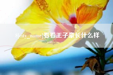 定安看看王子豪长什么样
