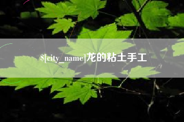 定安龙的粘土手工