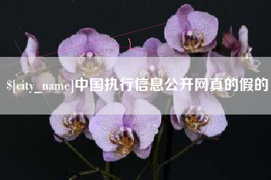 定安中国执行信息公开网真的假的