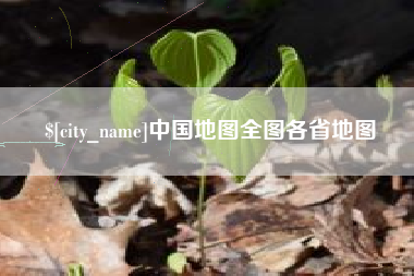 定安中国地图全图各省地图