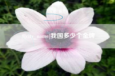 定安我国多少个金牌