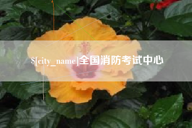 定安全国消防考试中心