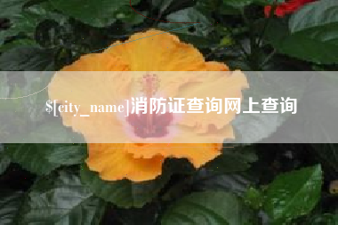 定安消防证查询网上查询