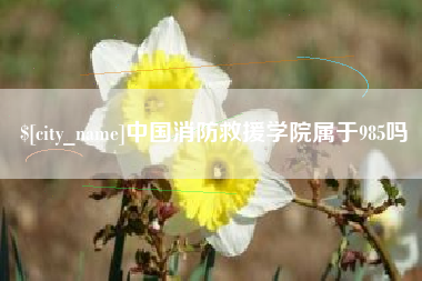 定安中国消防救援学院属于985吗