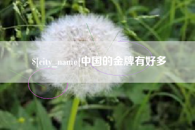 定安中国的金牌有好多