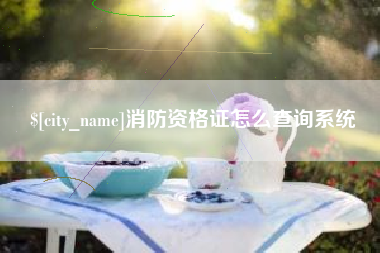 定安消防资格证怎么查询系统