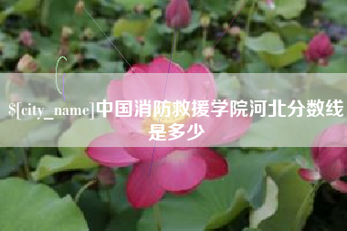 定安中国消防救援学院河北分数线是多少