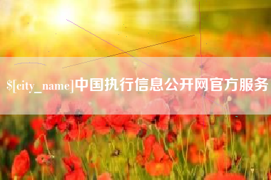 定安中国执行信息公开网官方服务