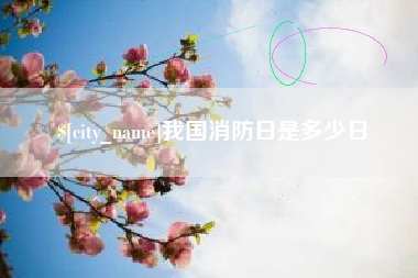 定安我国消防日是多少日