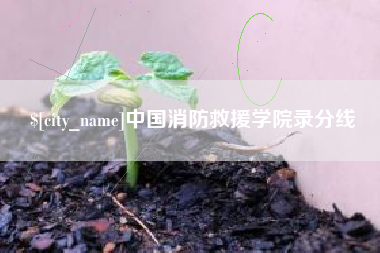 定安中国消防救援学院录分线