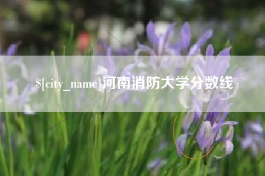 定安河南消防大学分数线