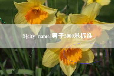定安男子5000米标准