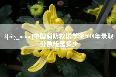定安中国消防救援学院2019年录取分数线是多少