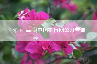 定安中国执行网公开查询