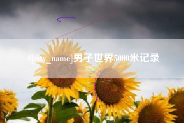 定安男子世界5000米记录