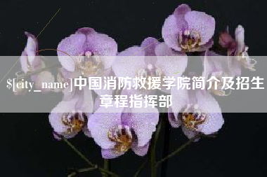 定安中国消防救援学院简介及招生章程指挥部
