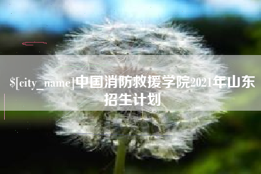 定安中国消防救援学院2021年山东招生计划