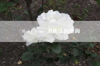 定安消防证的查询