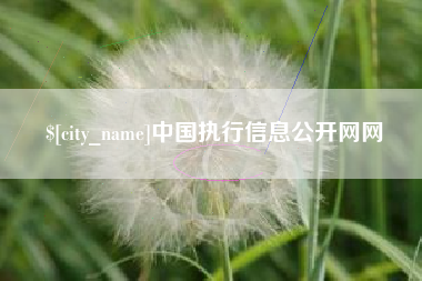 定安中国执行信息公开网网