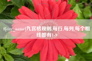 定安九宫格规则,每行,每列,每个粗线都有1-9