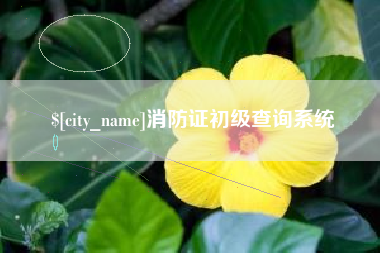 定安消防证初级查询系统
