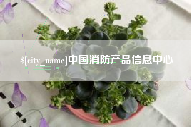 定安中国消防产品信息中心