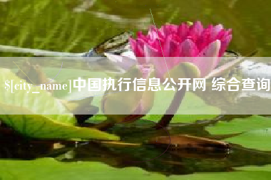定安中国执行信息公开网 综合查询