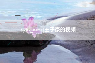 定安王子豪的视频