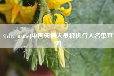 定安中国失信人员被执行人名单查询