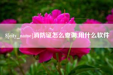 定安消防证怎么查询,用什么软件