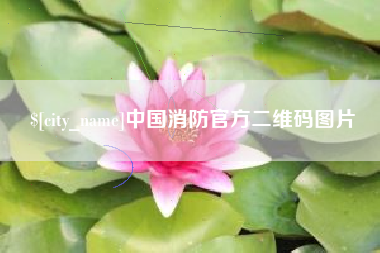 定安中国消防官方二维码图片