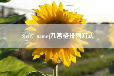 定安九宫格排列方式