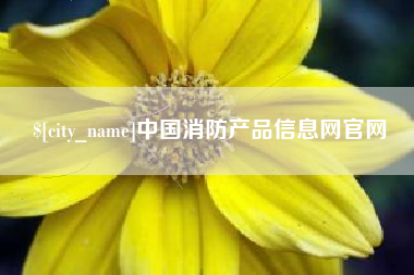 定安中国消防产品信息网官网