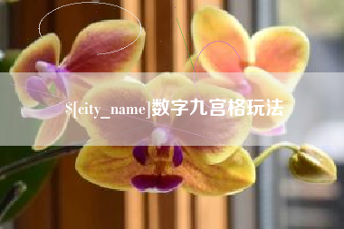 定安数字九宫格玩法