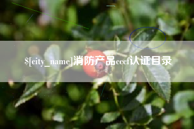定安消防产品cccf认证目录