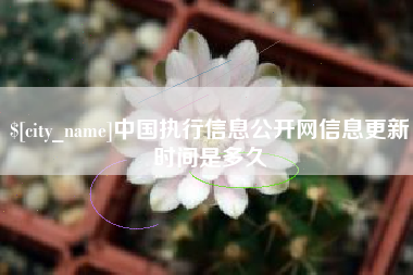定安中国执行信息公开网信息更新时间是多久