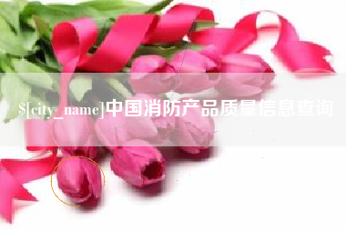 定安中国消防产品质量信息查询