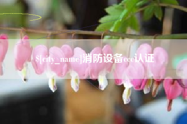 定安消防设备ccc认证