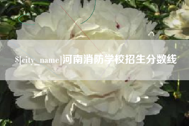 定安河南消防学校招生分数线