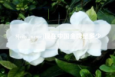 定安现在中国金牌是多少