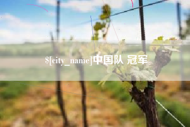定安中国队 冠军